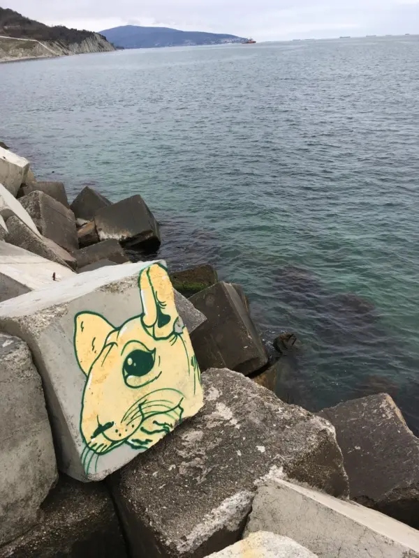 Андрей Druce Boxcar – Шиншилла 7