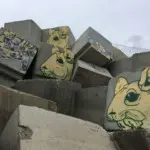 Андрей Druce Boxcar – Шиншилла 8