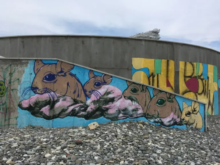 Андрей Druce Boxcar – Шиншилла 9