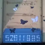 Андрей Druce Boxcar – Бабочка 17