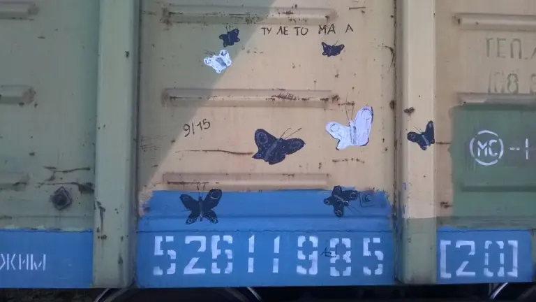 Андрей Druce Boxcar – Бабочка 17