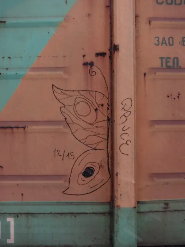 Андрей Druce Boxcar – Бабочка 19