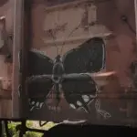 Андрей Druce Boxcar – Бабочка 2