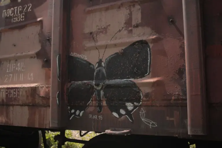 Андрей Druce Boxcar – Бабочка 2