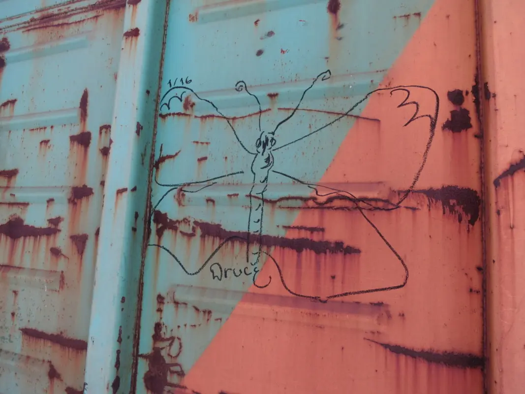 Андрей Druce Boxcar – Бабочка 22