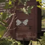 Андрей Druce Boxcar – Бабочка 3