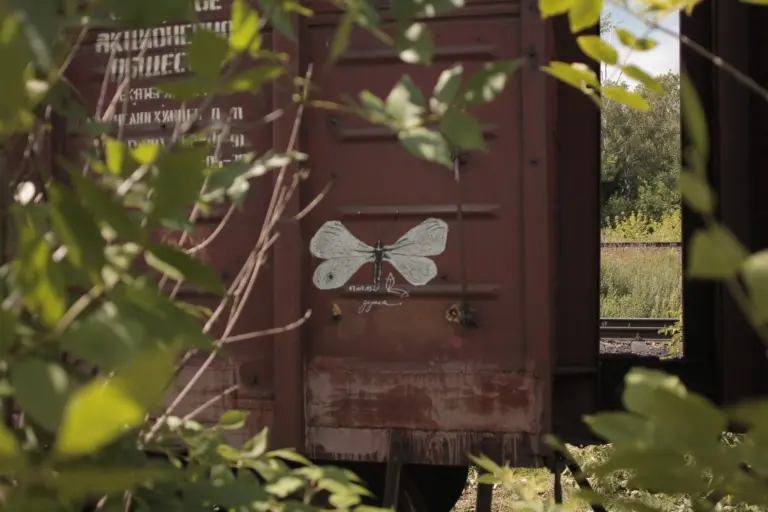 Андрей Druce Boxcar – Бабочка 3