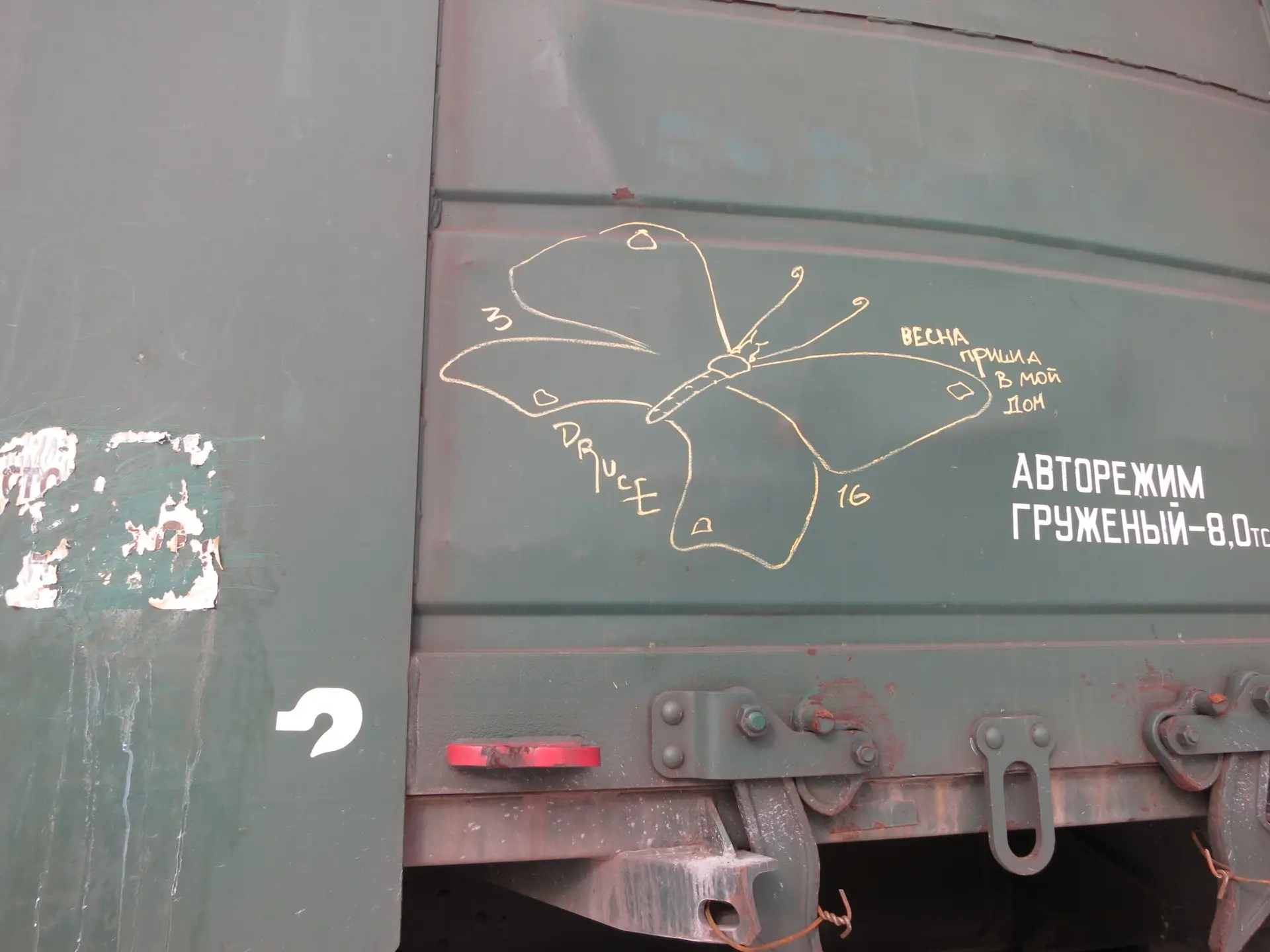 Бабочка 31 Андрей Druce Boxcar – Бабочка 31