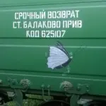 Андрей Druce Boxcar – Бабочка 6