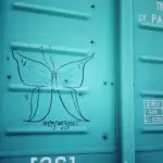 Андрей Druce Boxcar – Бабочка 9