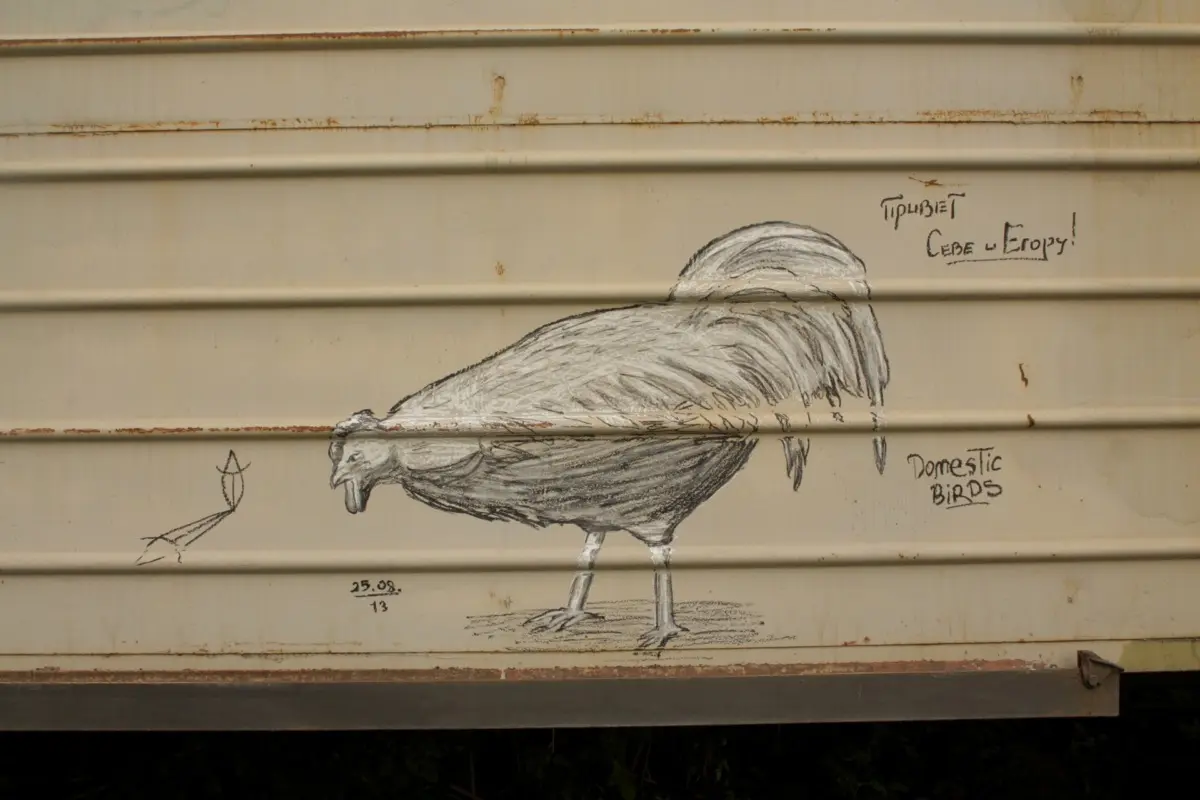 Андрей Druce Boxcar – Фауна 10