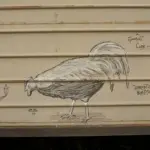 Андрей Druce Boxcar – Фауна 10