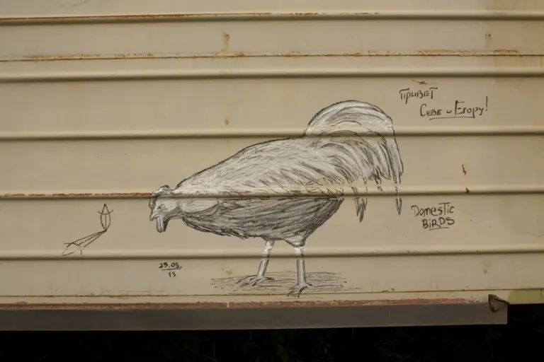 Андрей Druce Boxcar – Фауна 10