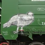 Андрей Druce Boxcar – Фауна 12