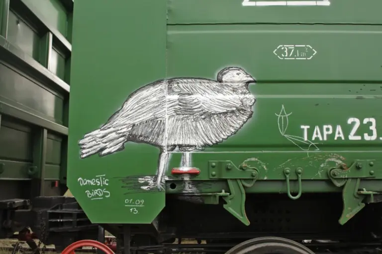 Андрей Druce Boxcar – Фауна 12