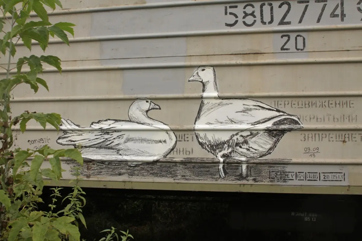 Андрей Druce Boxcar – Фауна 13