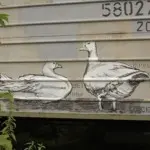 Андрей Druce Boxcar – Фауна 13