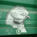 Андрей Druce Boxcar – Фауна 14