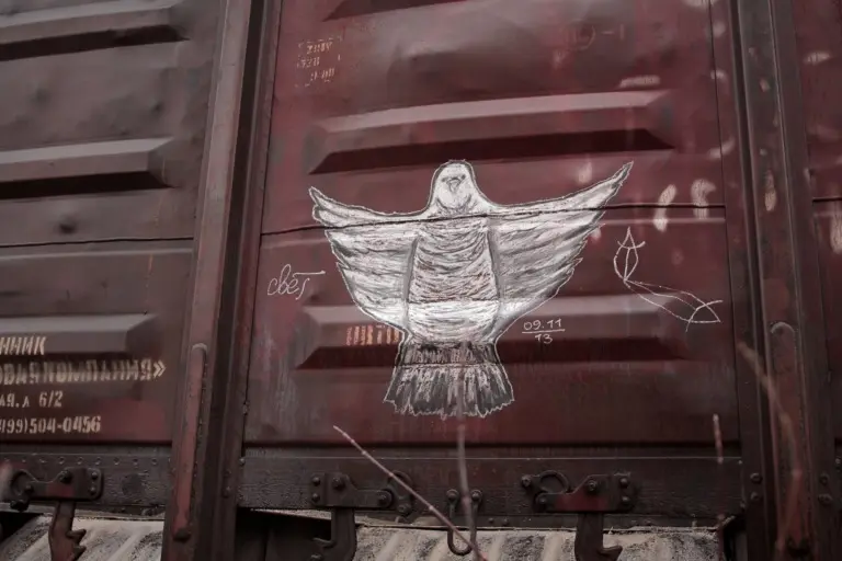 Андрей Druce Boxcar – Фауна 15