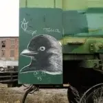 Андрей Druce Boxcar – Фауна 16