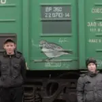 Андрей Druce Boxcar – Фауна 17
