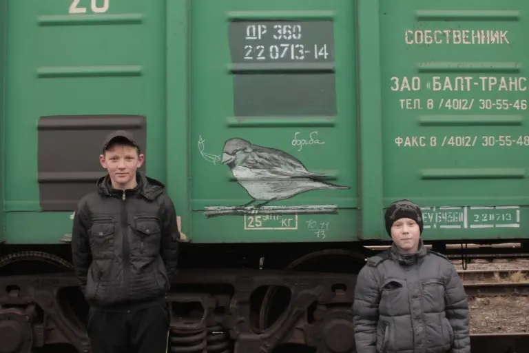 Андрей Druce Boxcar – Фауна 17