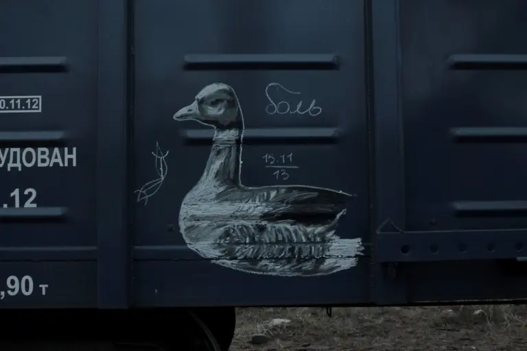 Андрей Druce Boxcar – Фауна 18