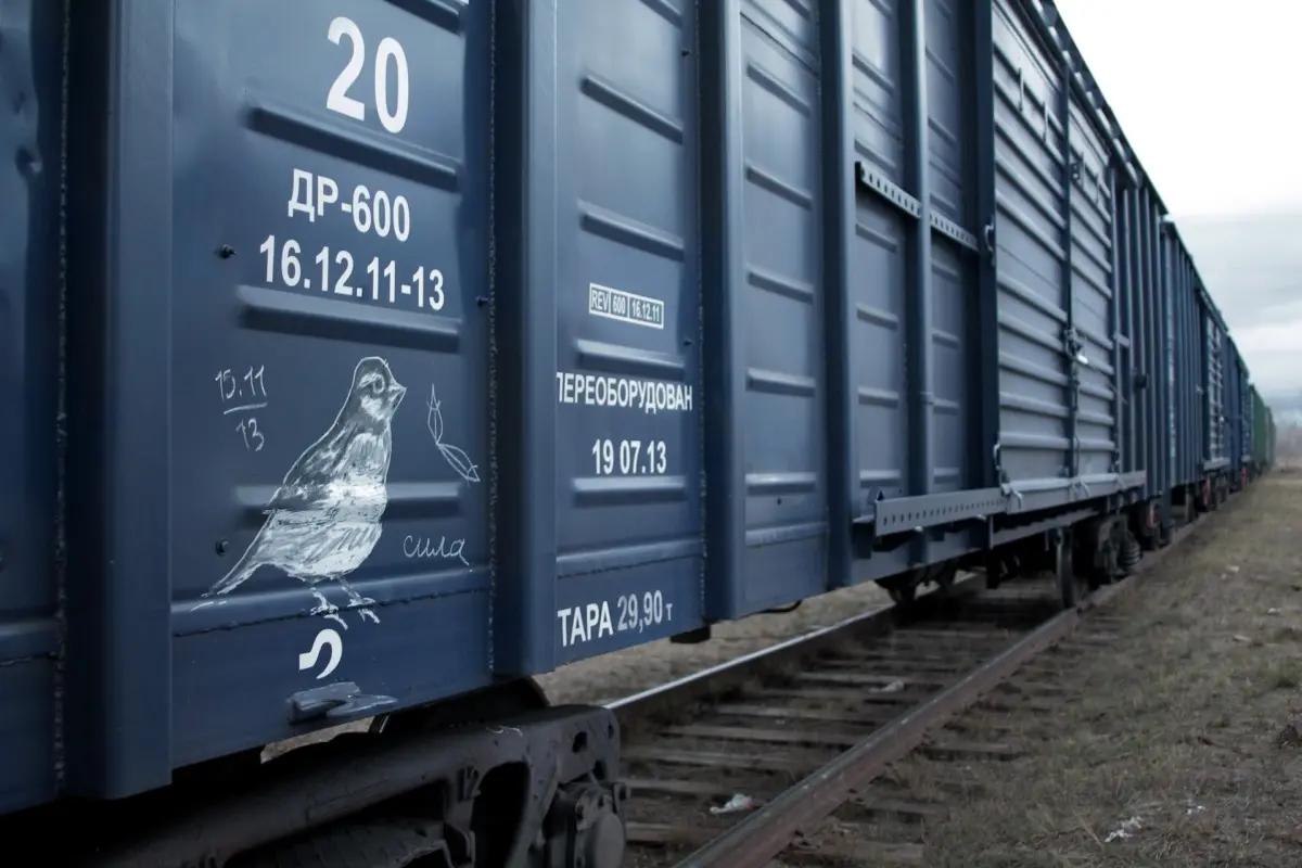 Андрей Druce Boxcar – Фауна 19