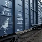 Андрей Druce Boxcar – Фауна 19