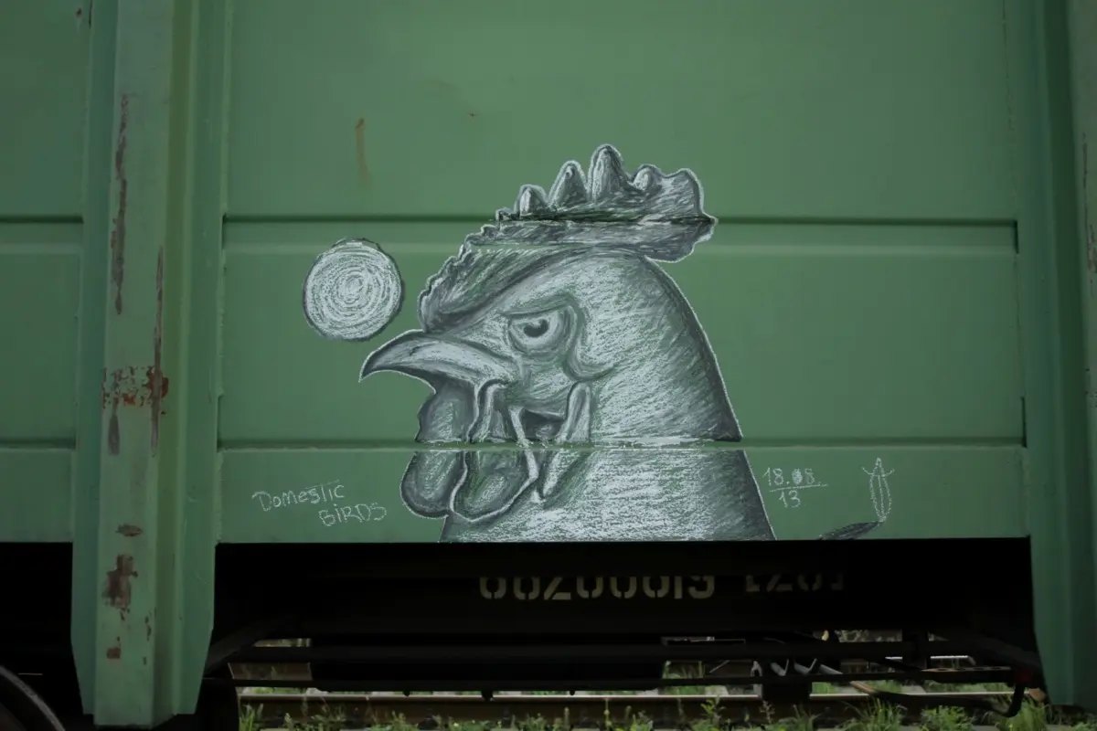 Андрей Druce Boxcar – Фауна 2