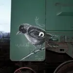 Андрей Druce Boxcar – Фауна 20