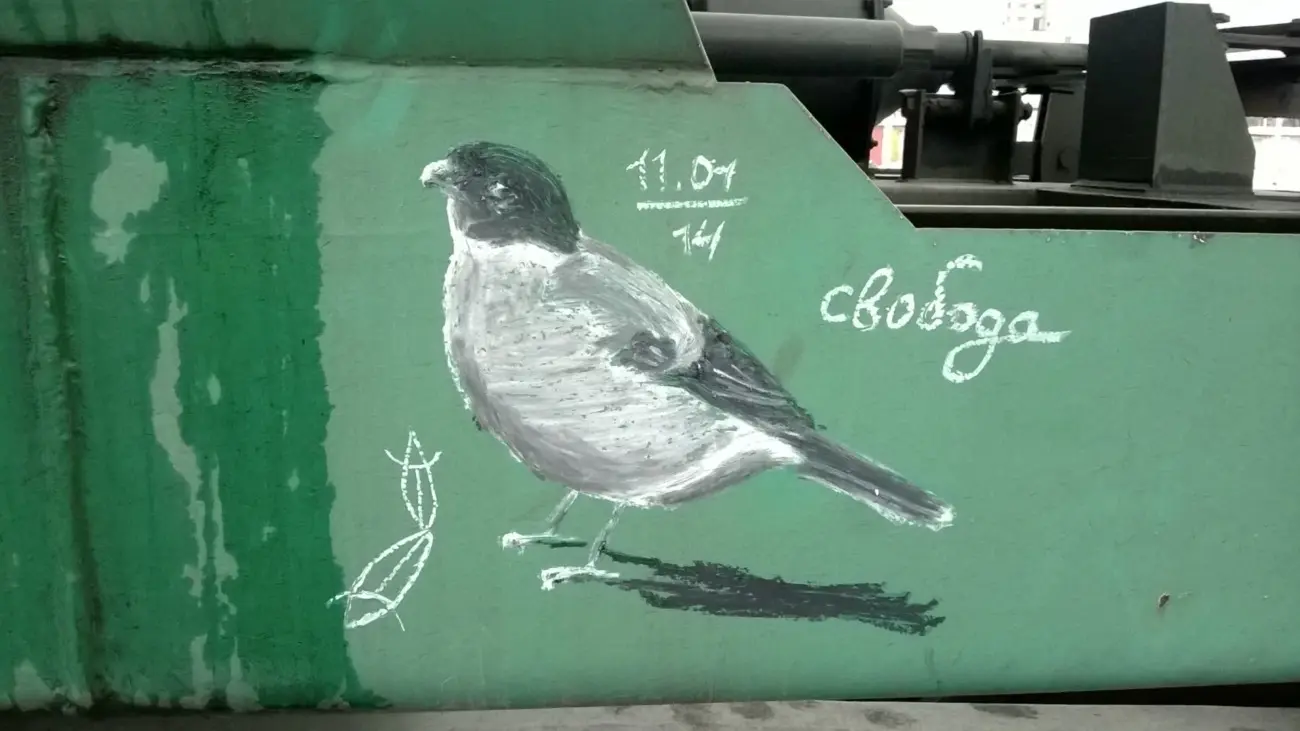 Андрей Druce Boxcar – Фауна 24