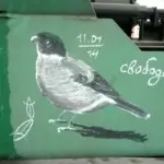 Андрей Druce Boxcar – Фауна 24