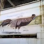 Андрей Druce Boxcar – Фауна 26