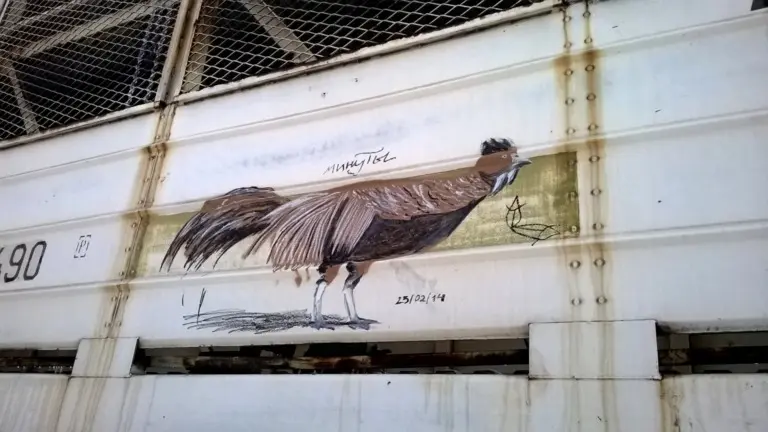 Андрей Druce Boxcar – Фауна 26