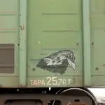 Андрей Druce Boxcar – Фауна 27