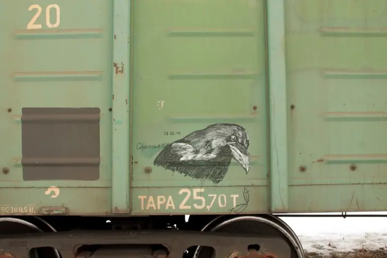 Андрей Druce Boxcar – Фауна 27