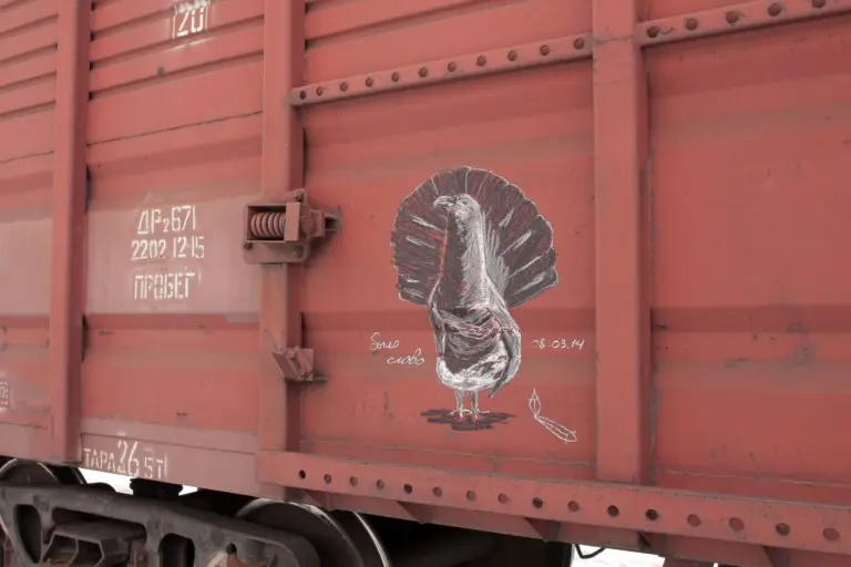 Андрей Druce Boxcar – Фауна 28