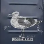 Андрей Druce Boxcar – Фауна 29