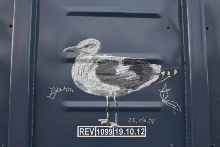 Андрей Druce Boxcar – Фауна 29