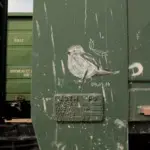 Андрей Druce Boxcar – Фауна 32