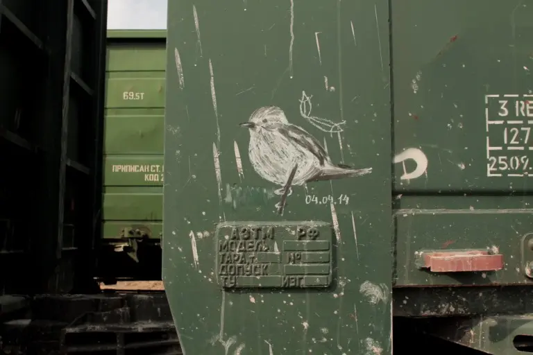 Андрей Druce Boxcar – Фауна 32