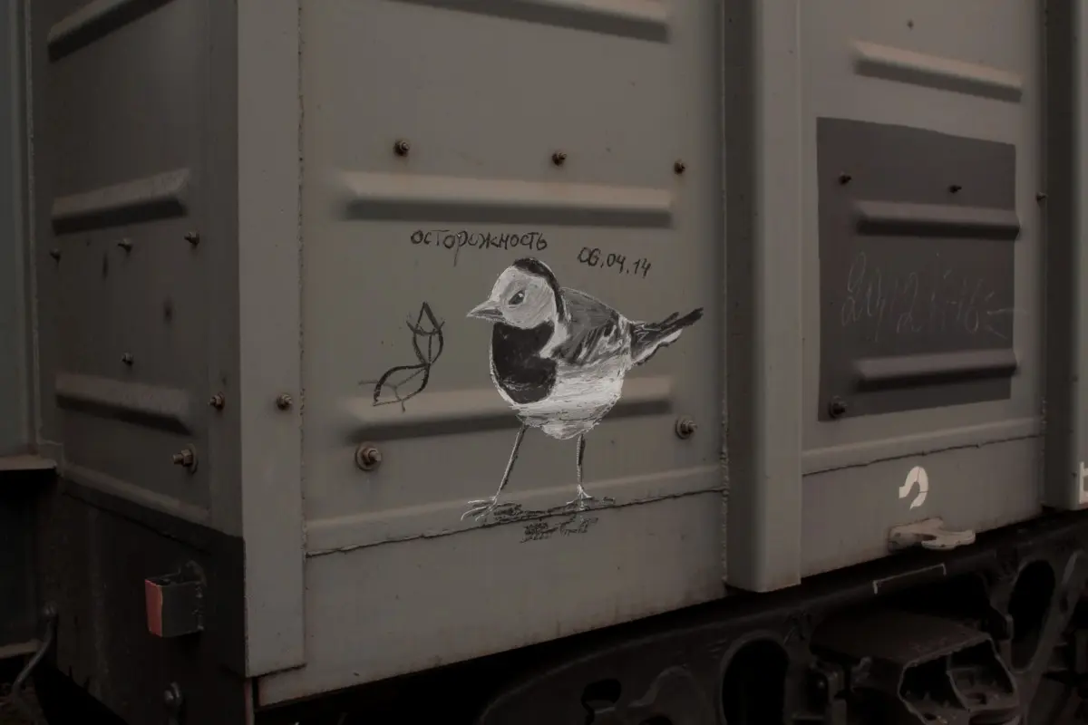 Андрей Druce Boxcar – Фауна 34