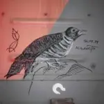 Андрей Druce Boxcar – Фауна 35