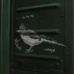 Андрей Druce Boxcar – Фауна 36