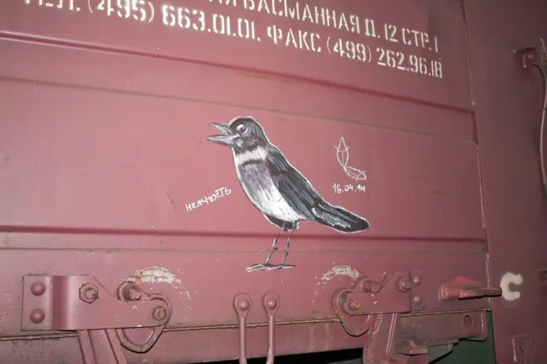 Андрей Druce Boxcar – Фауна 38