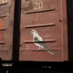 Андрей Druce Boxcar – Фауна 39