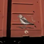 Андрей Druce Boxcar – Фауна 41