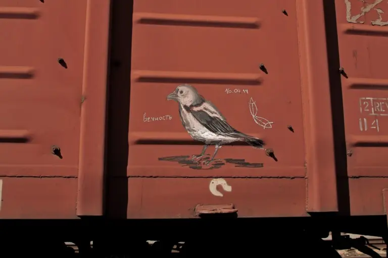 Андрей Druce Boxcar – Фауна 41