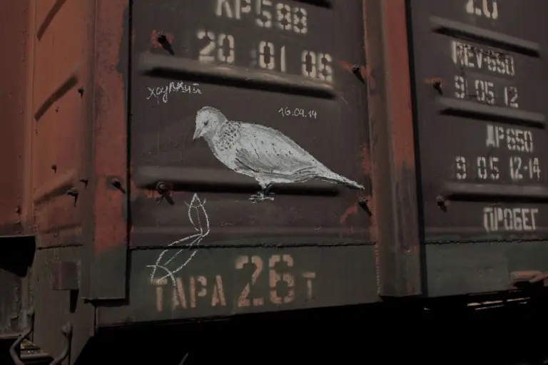 Андрей Druce Boxcar – Фауна 42